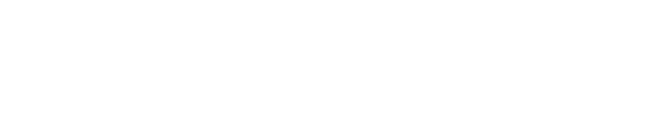 Videntium T&C Logo